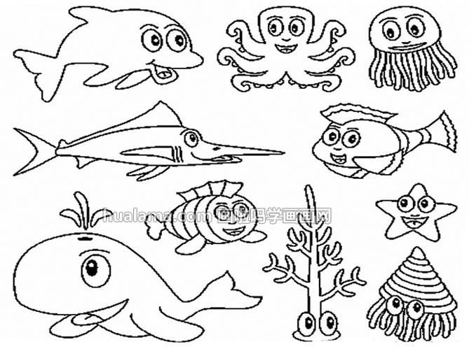 十款罕见的海洋动物简笔画图黑白线稿