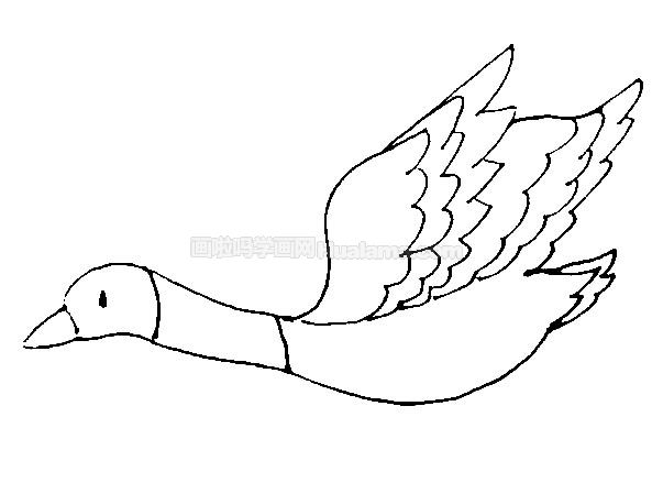 鸟的翅膀怎么画简笔画图片