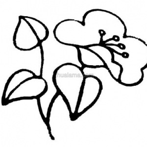 ʢĻʻͼƬ  ҶڵһѧŶ