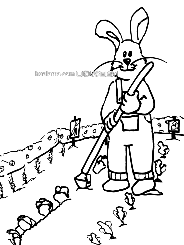 小白兔挖萝卜简笔画图片你要和我们一起来学习吗