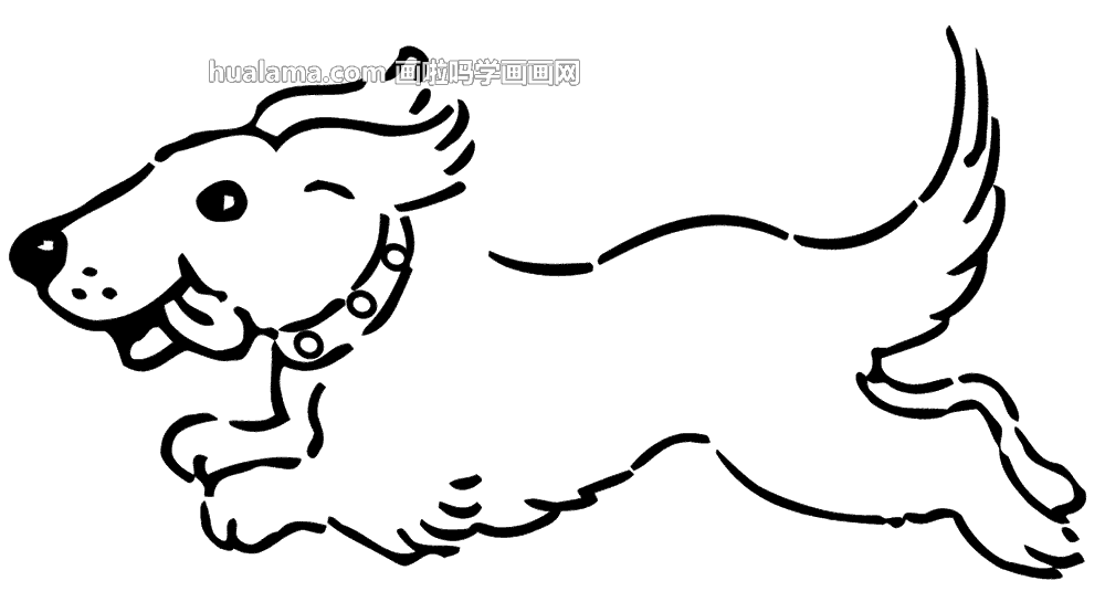 飞奔 奔跑的小狗简笔画图片 - 狗 - 画啦吗 一个零基础免费学画画的