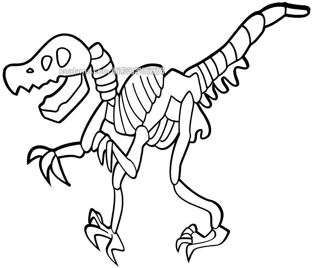 万龙恐龙化石简笔画图片