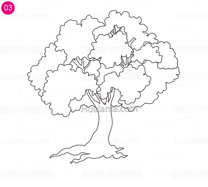 樟树立面图手绘线稿图片