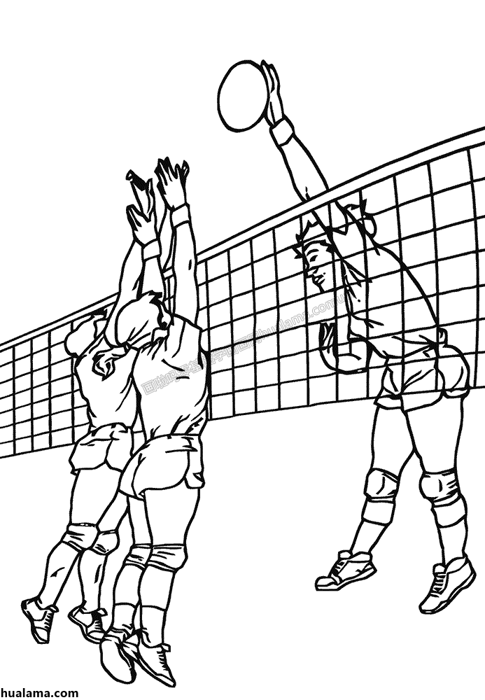 一群人物在沙滩玩排球比赛简笔画图片 - 运动 - 画啦吗 一个零基础