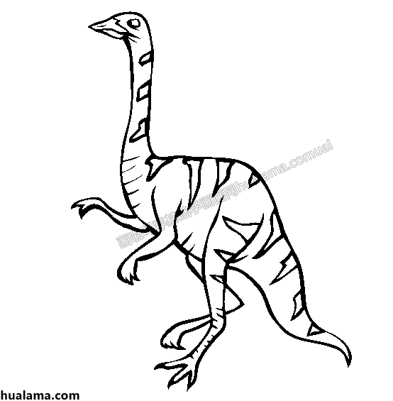 似鸵龙简笔画图片黑白线描