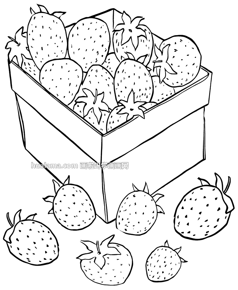 十款黑白线描草莓简笔画图片