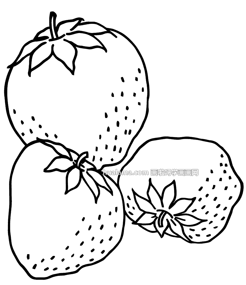 十款黑白线描草莓简笔画图片