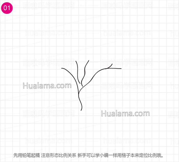 七里香树的简画图片图片
