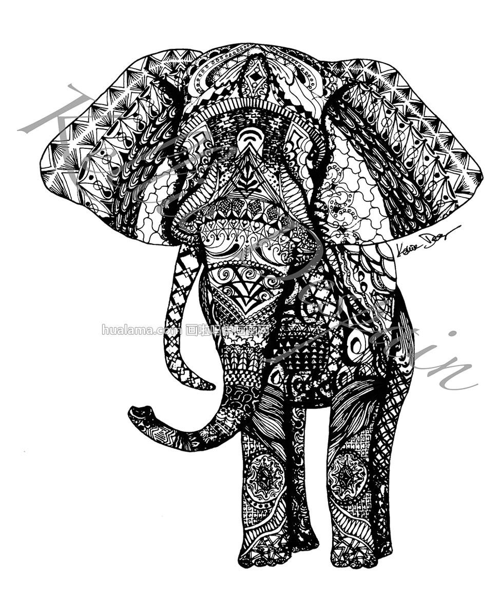 高大的花纹大象黑白画图片