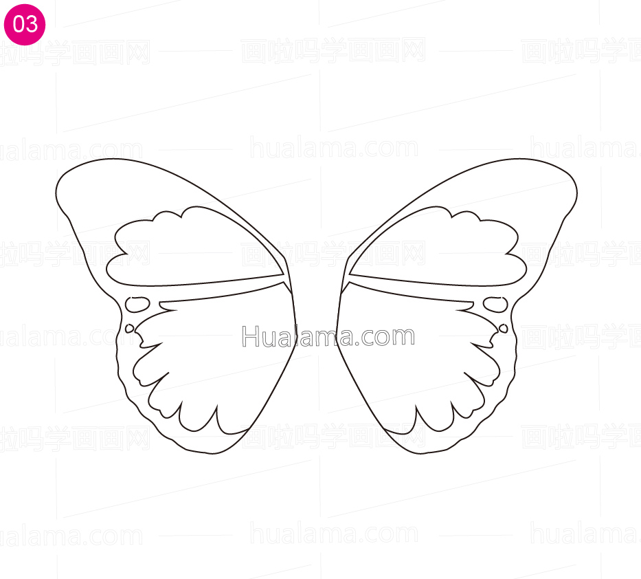 闪蝶画法图片