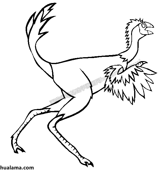 troodontidae伤齿恐龙简笔画图片