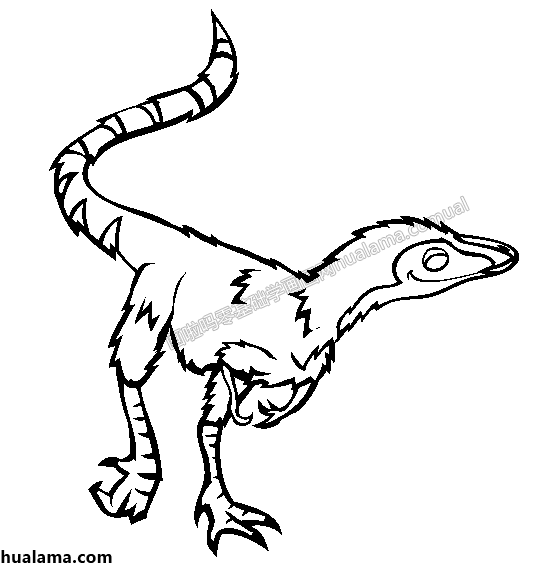 中华龙鸟黑白线稿 简笔画图片