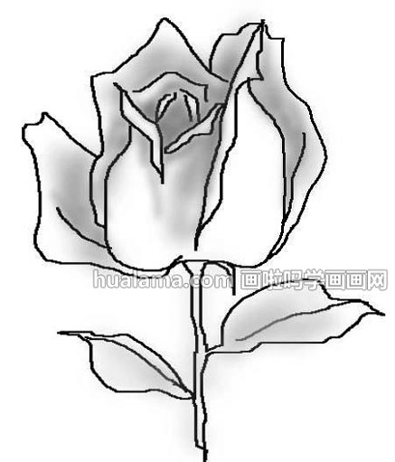 ڰ׼ʻϾ  ǵ𻭱ʽѧϰŶ