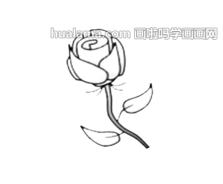 ʻ㻨 ĬĬ