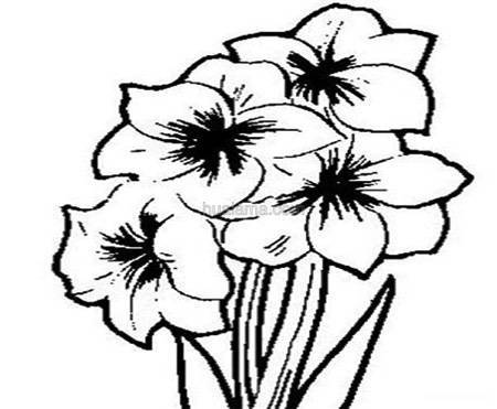 ʻǣţʻ