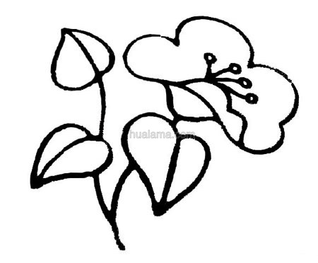 ʻĵʻ  ǵ𻭱ʽѧϰŶ 