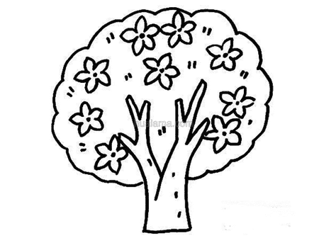 春天的桃树简笔画图片