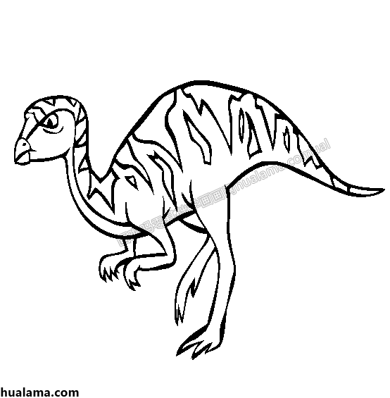 leaellynasaura 雷利诺龙恐龙黑白简笔画线稿手绘