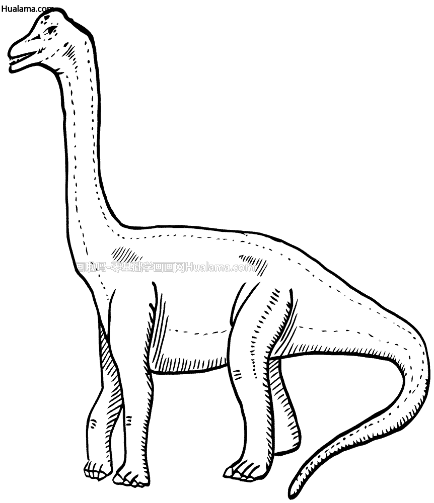 万龙恐龙简笔画简单图片